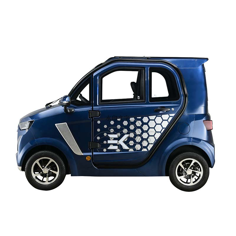 4000W Electric Car with 4 Seats