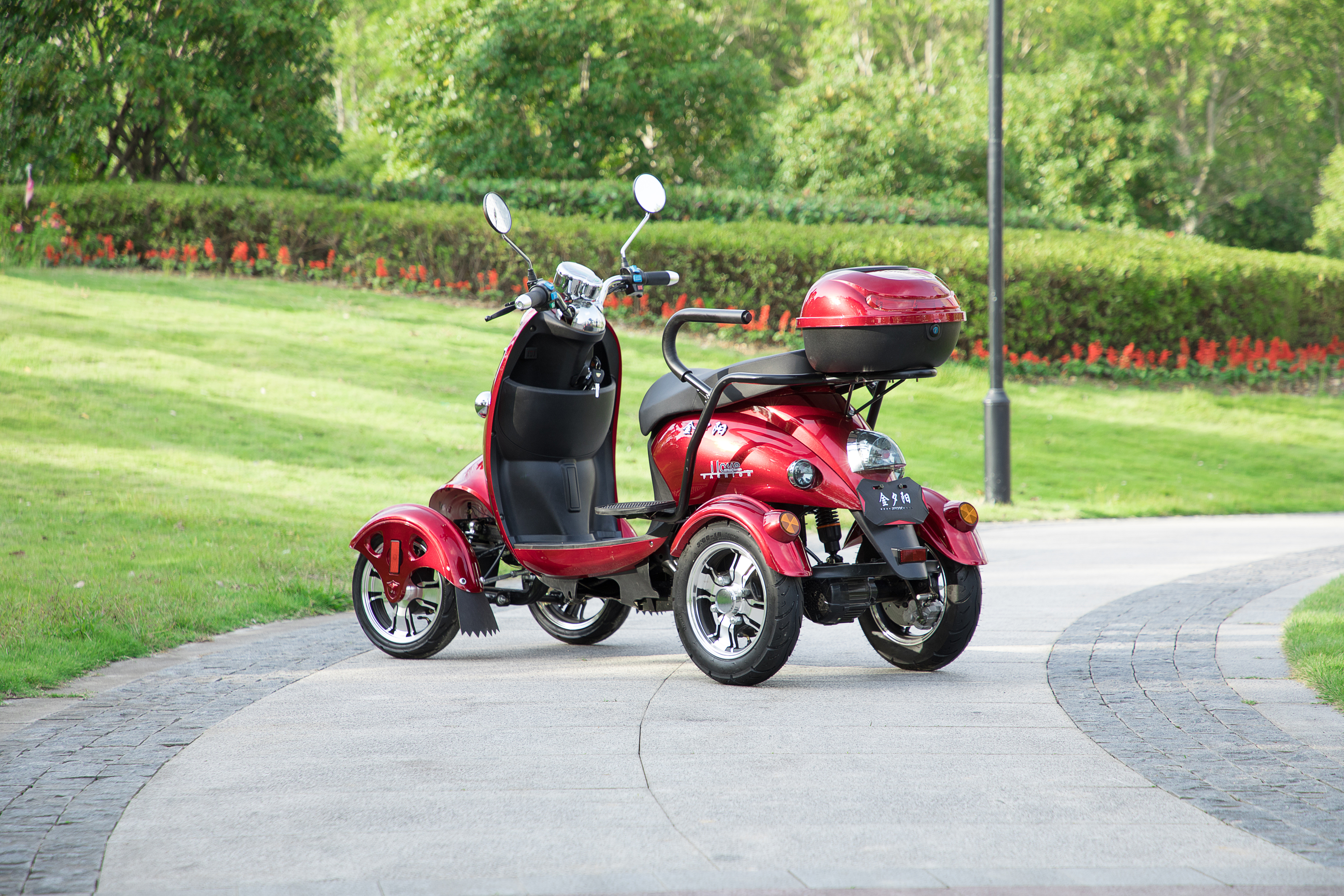 EEC Electric Mobility Scooter for Lady