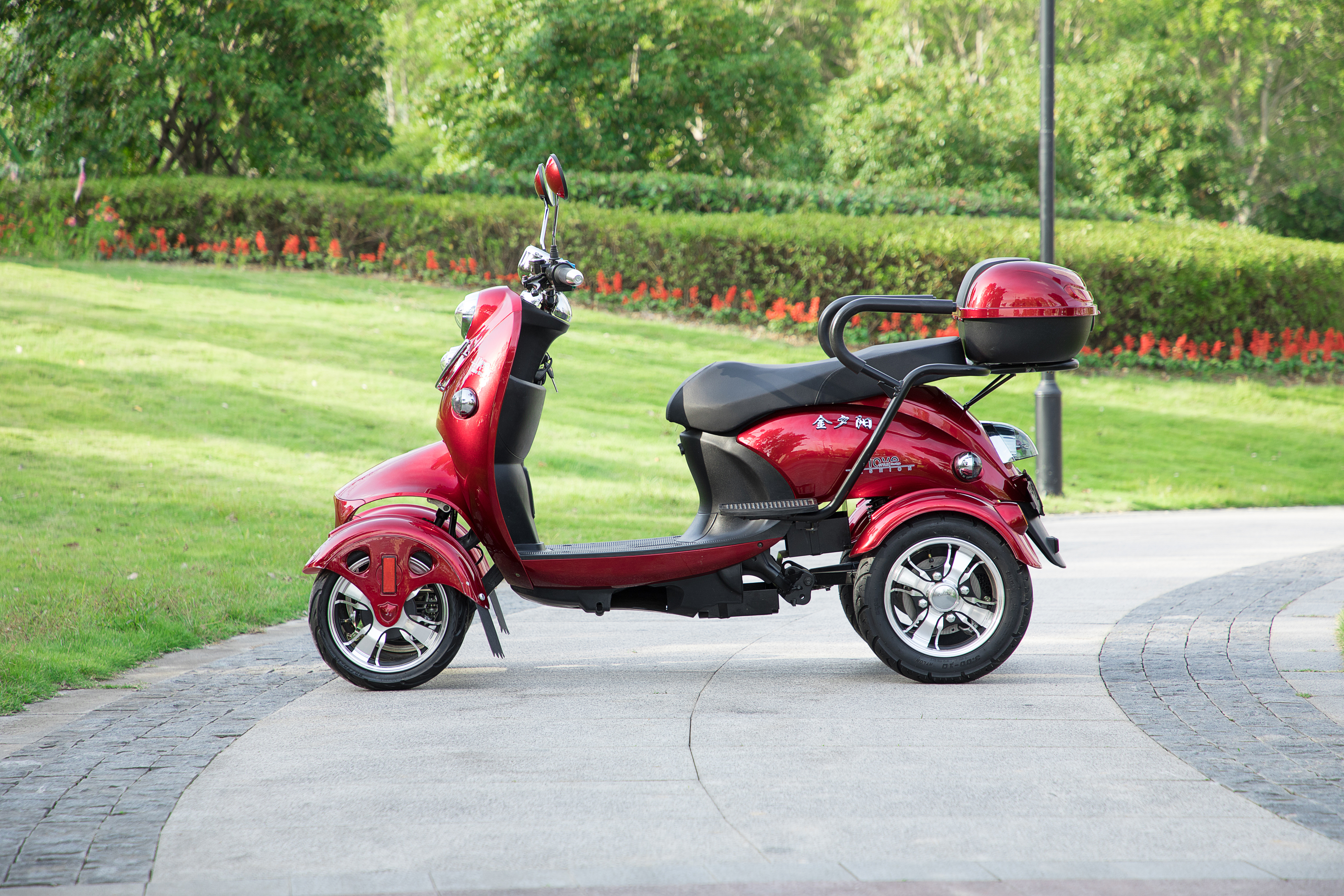 EEC Electric Mobility Scooter for Lady