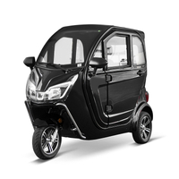 3 Wheel Mini Electric Car with EEC Certification