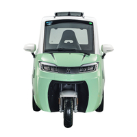 3 Wheel Electric Cabin Scooter