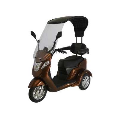 48V 500W Electric Tricycle with Canopy